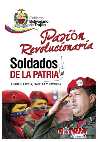 Banner 2 Soldados de la patria