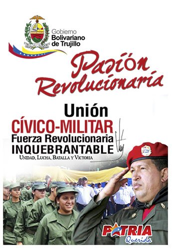 Banner Union Civico