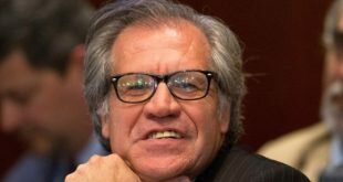 Lo que realmente importa del último Informe Almagro