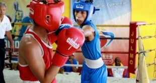 Definida selección venezolana juvenil de boxeo